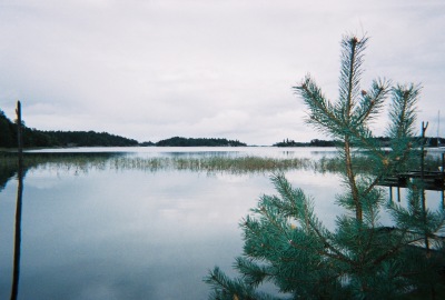 The still, lake-like sea behind my foster-aunt's home in Southern Sweden.